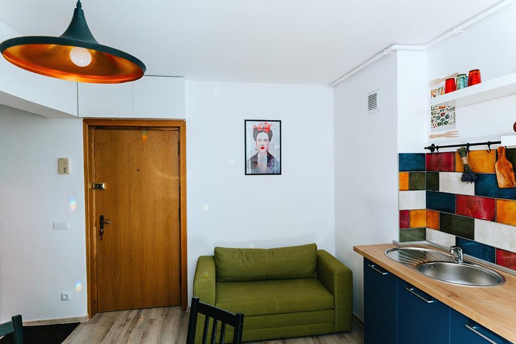 Old Citadel Hill Apartment 布拉索夫 外观 照片