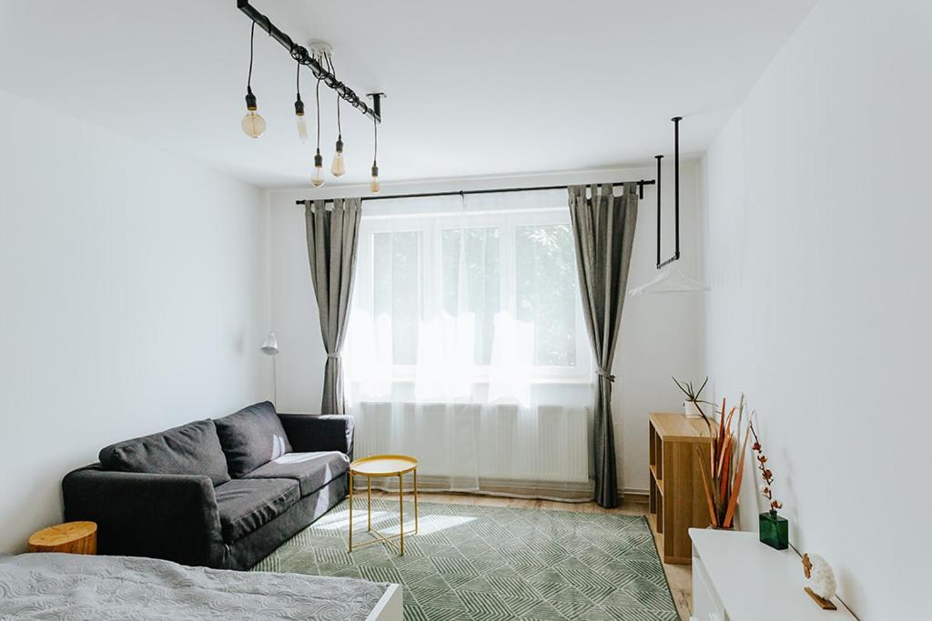 Old Citadel Hill Apartment 布拉索夫 外观 照片