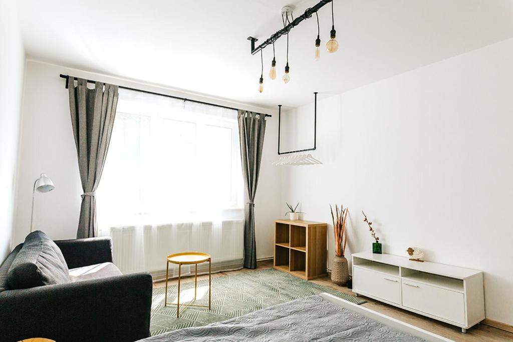 Old Citadel Hill Apartment 布拉索夫 外观 照片