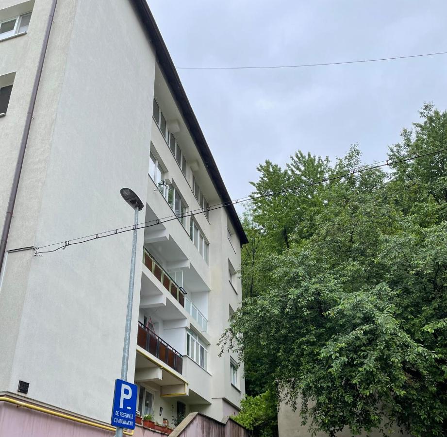 Old Citadel Hill Apartment 布拉索夫 外观 照片